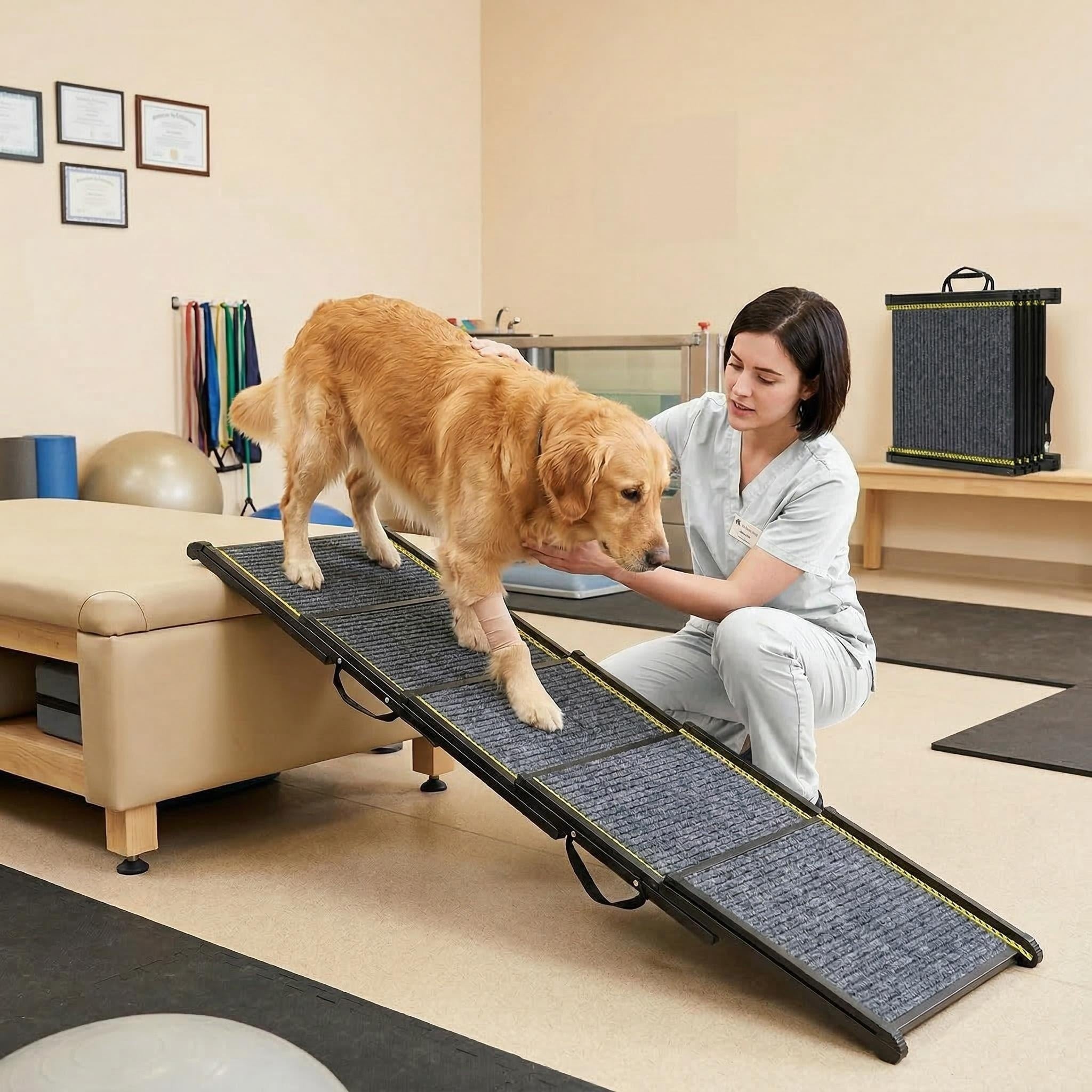 Safe Foldable Pet Ramp - Anti - Slip,Portable for Pet's Daily & Recovery Needs